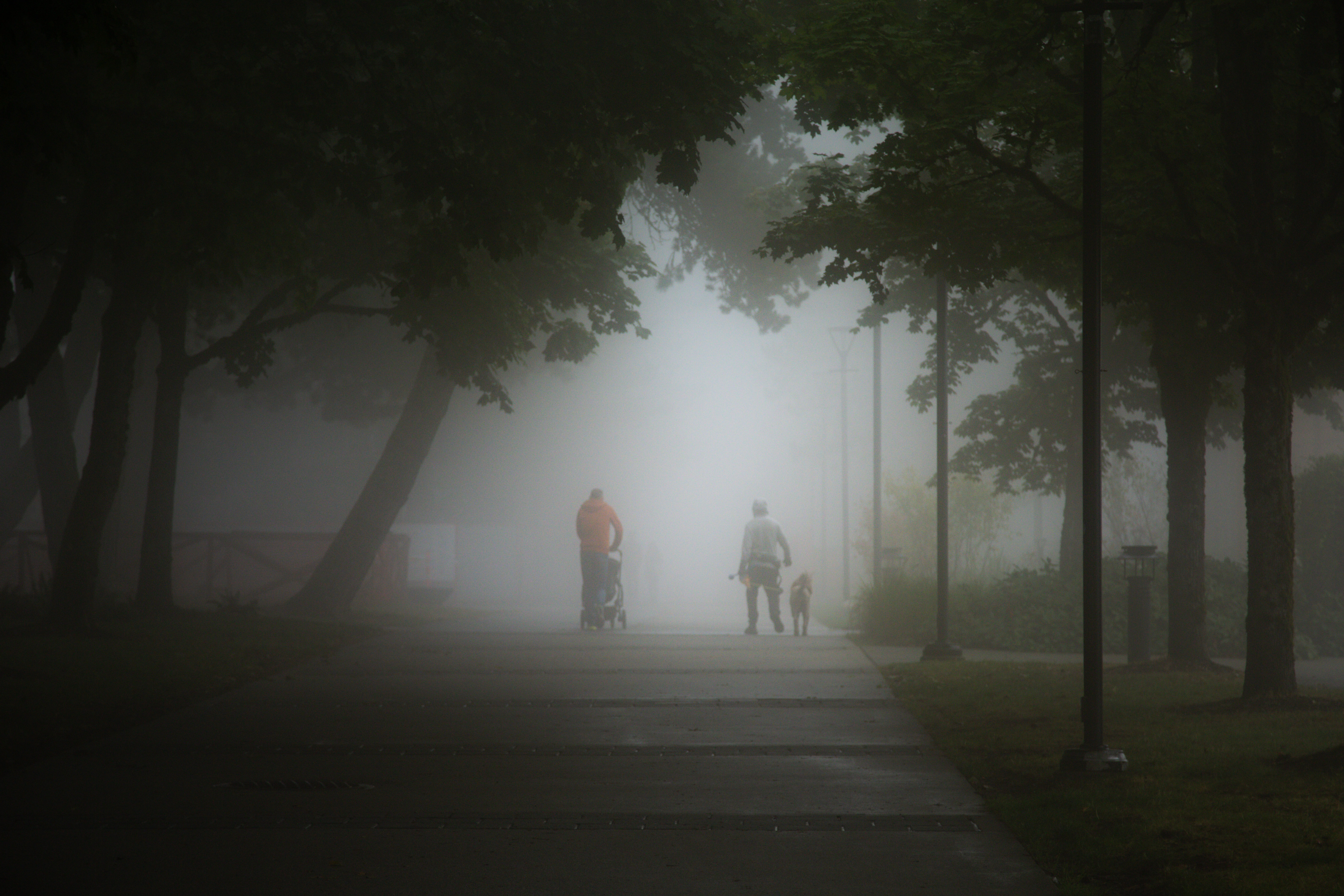 A foggy stroll