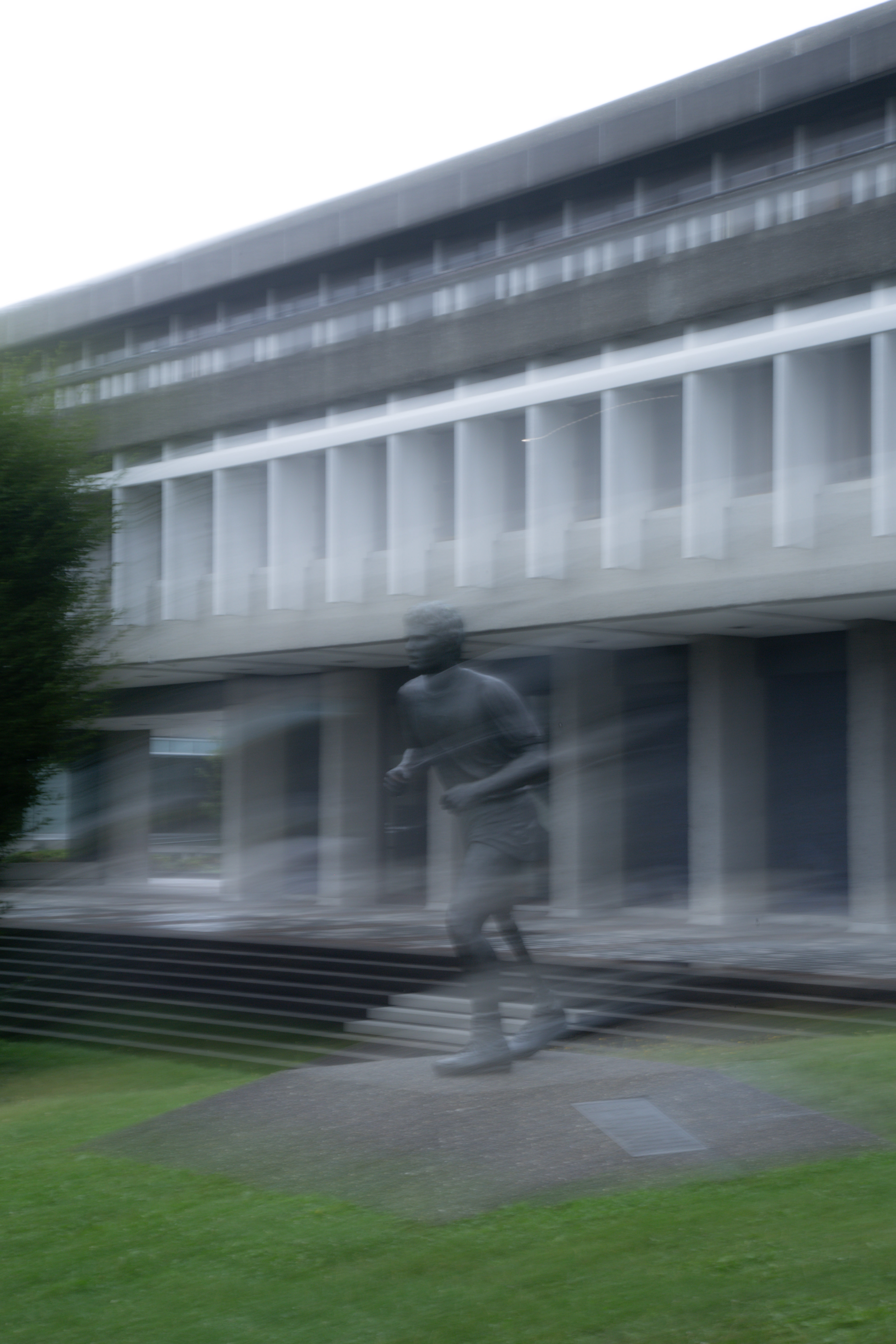 terry fox