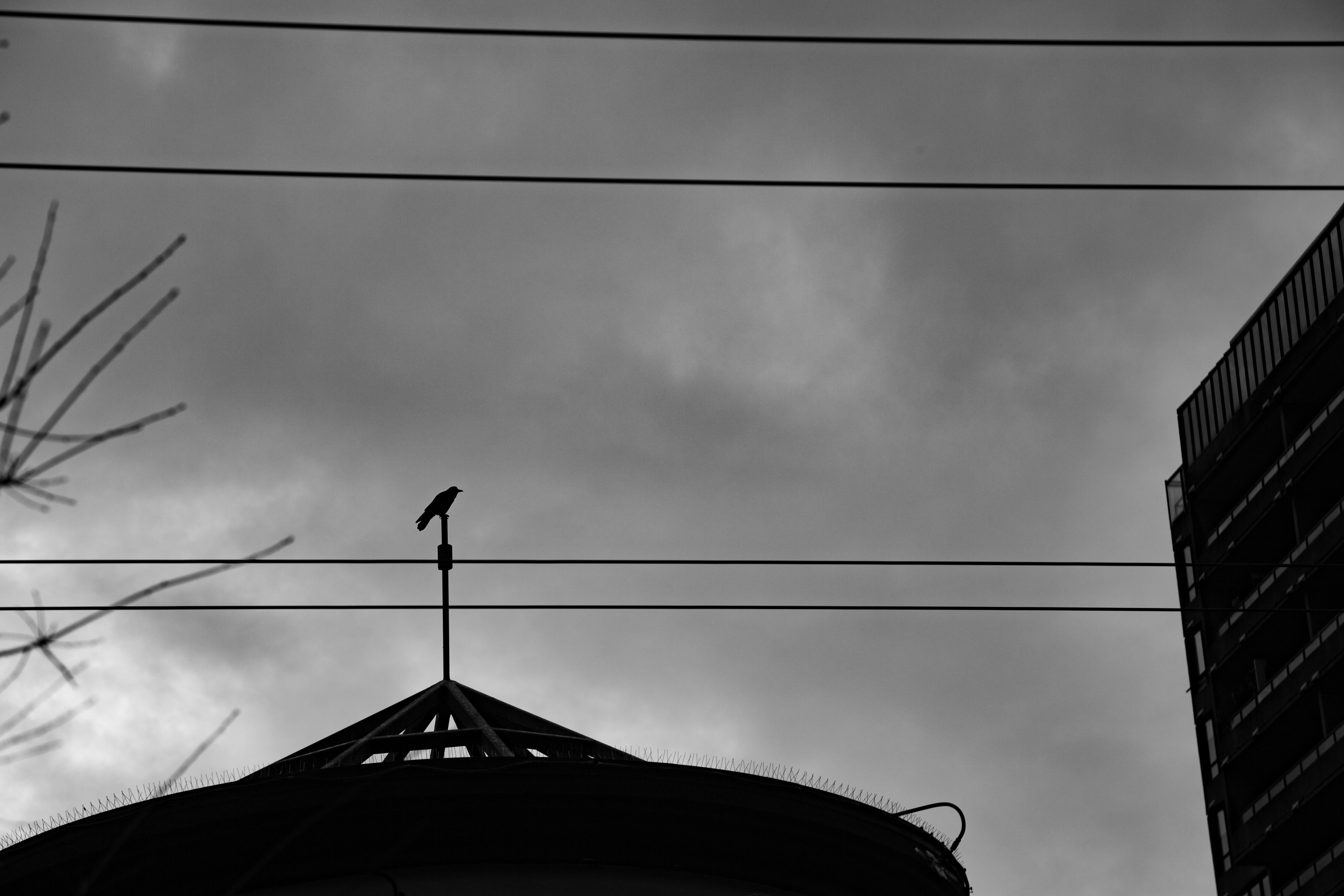 A lone crow silhouetted on a spire against grey sky