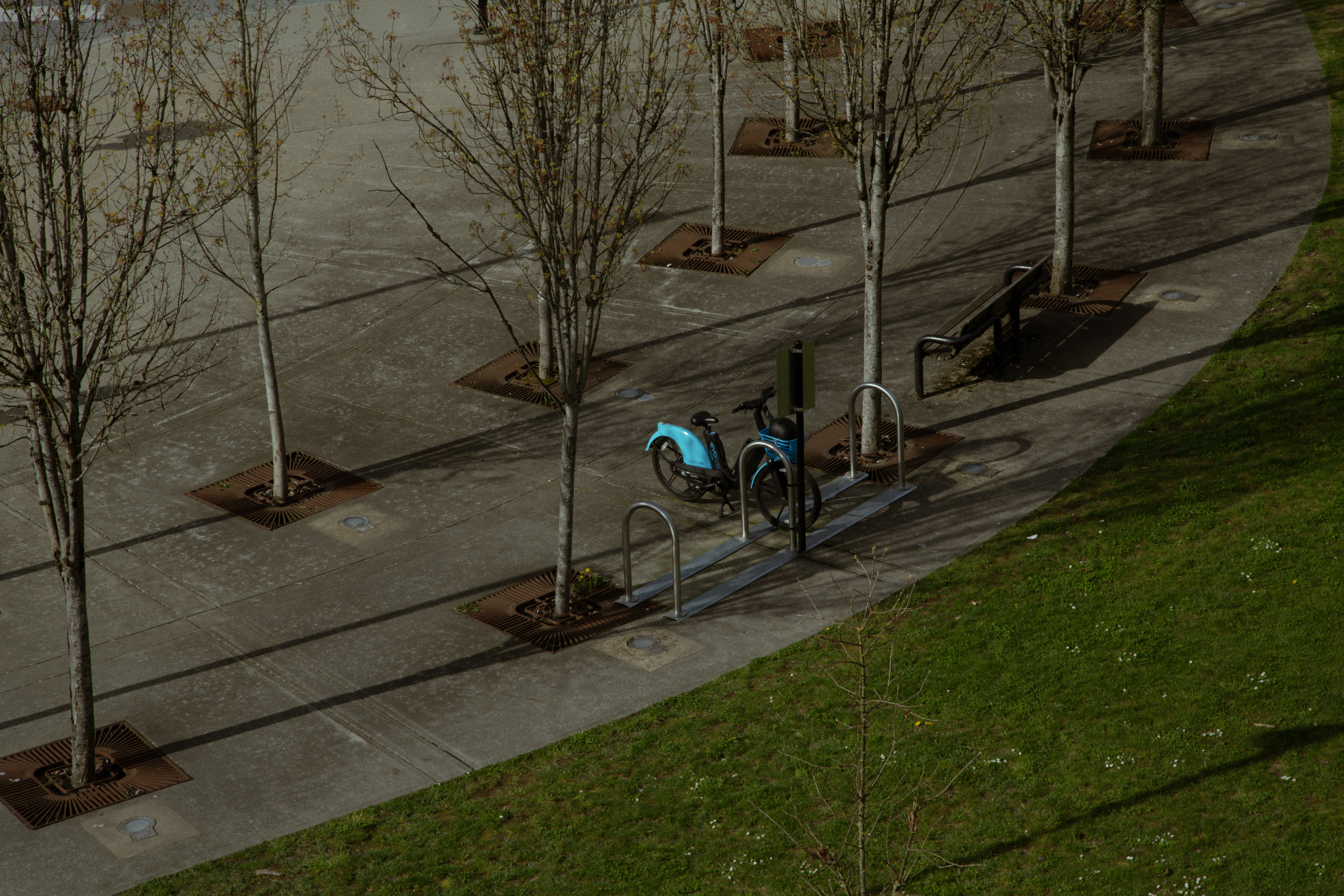 blue bike